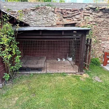 Pohoda Ve Starych Bukach Villa Staré Buky